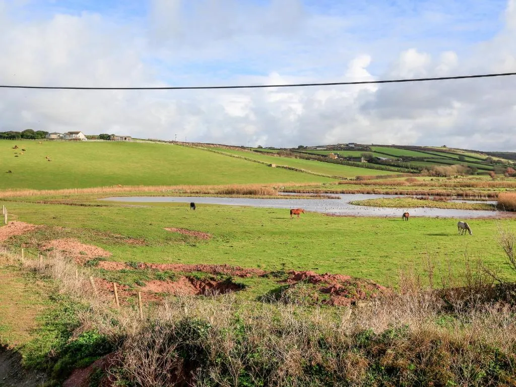 10 Thurlestone Rock - Photo 4