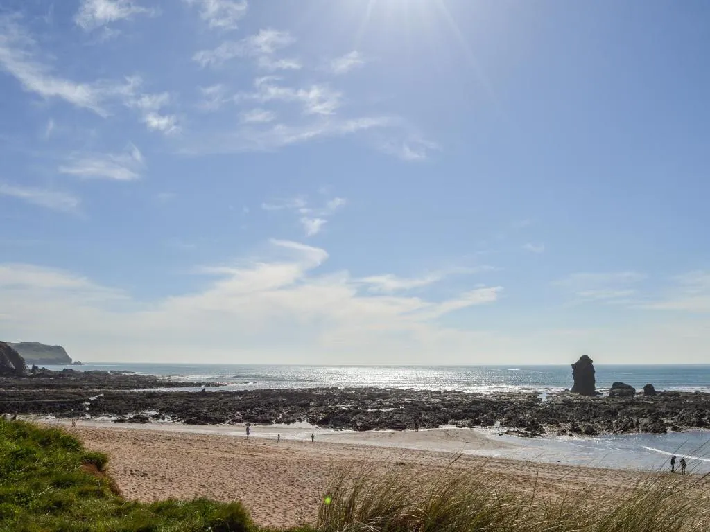 10 Thurlestone Rock - Photo 5