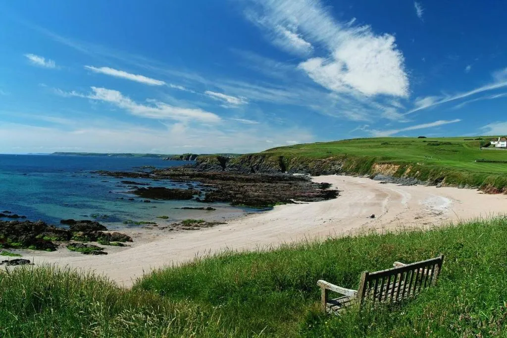 11 The Downs - Thurlestone - Photo 5