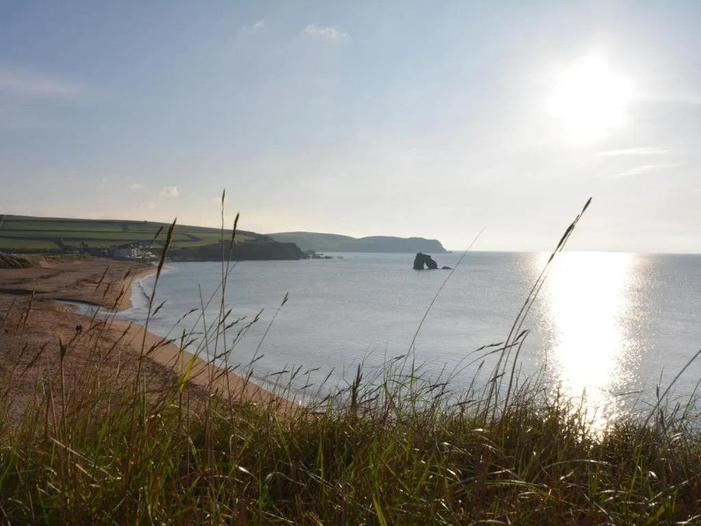 2 Bed in Kingsbridge oc-edelv - Photo 4