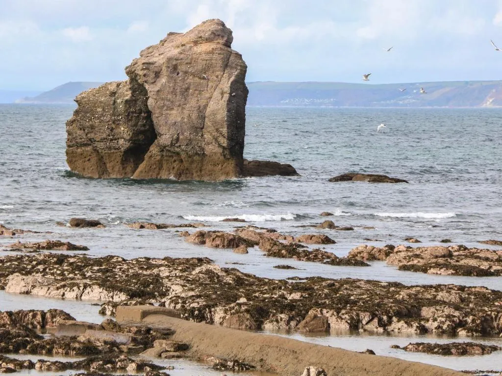 6 Ocean's Edge - Photo 5