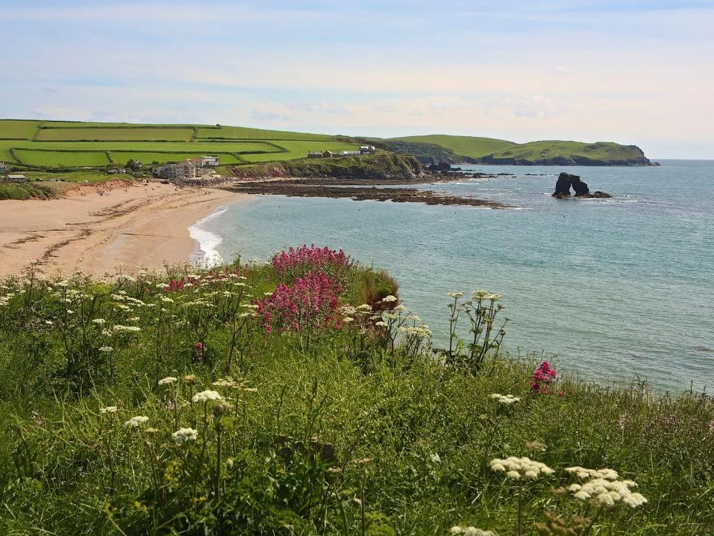 8 Thurlestone Beach - Photo 4