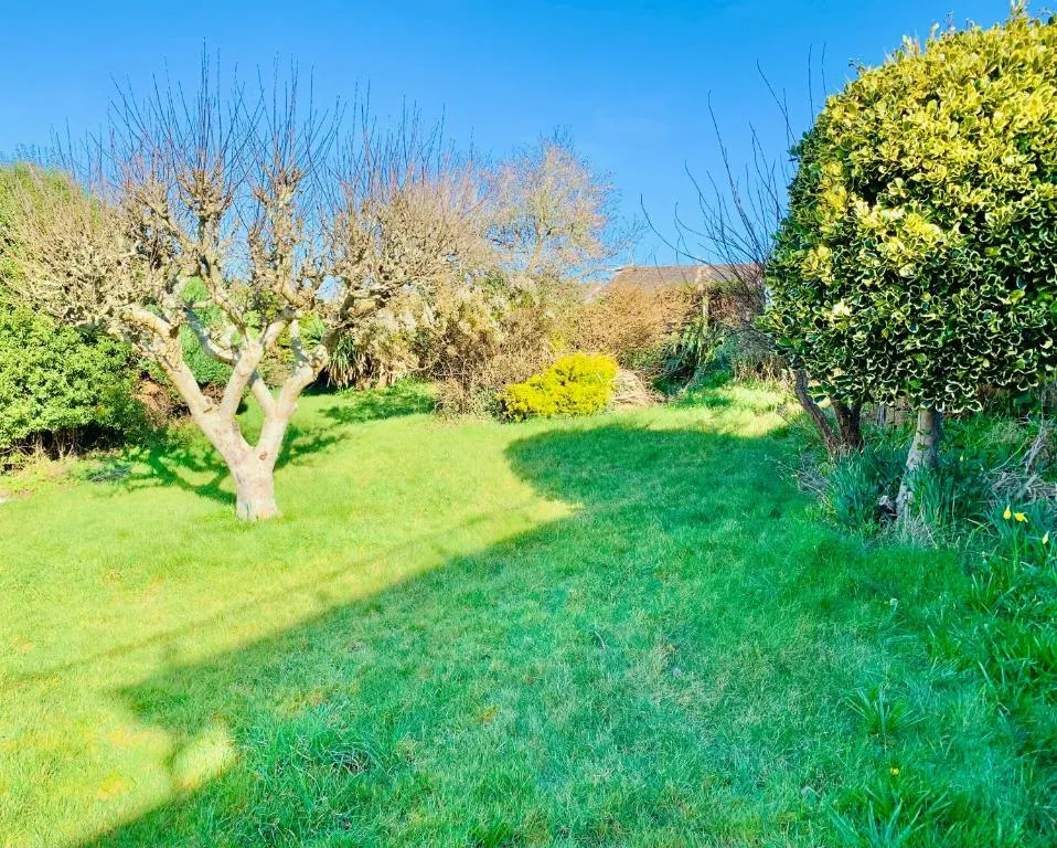 Beautiful Garden Room with Private Entrance - Photo 5