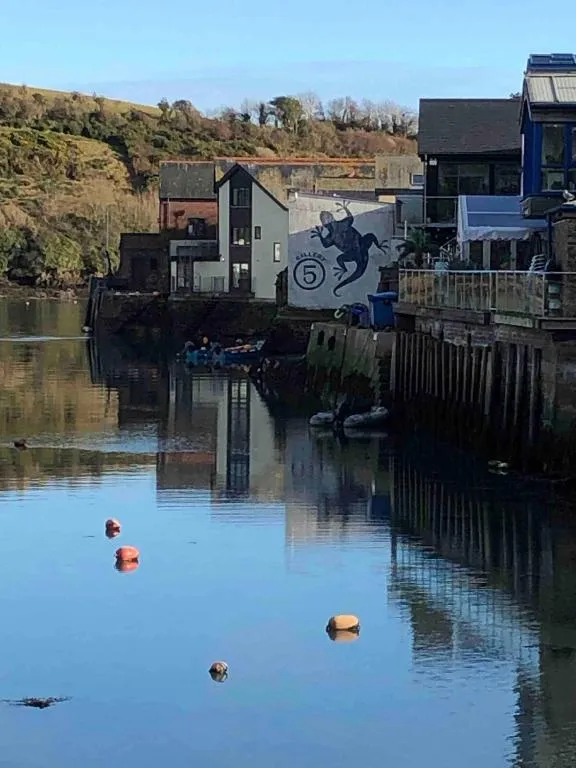 Beautiful Salcombe Home - great views-free parking - Photo 4