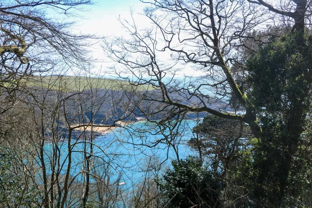 Blackstone Cottage - Photo 4