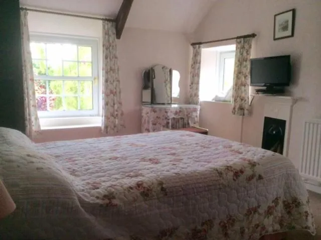 Shute Farm - Photo 4