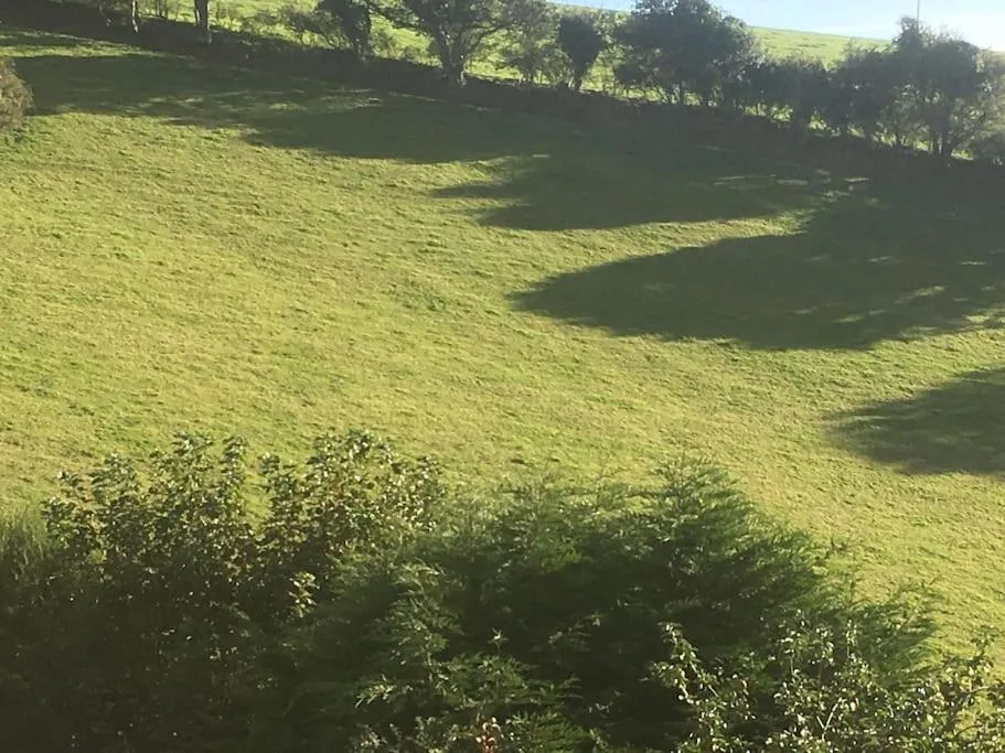 The Dairy at Middle Nuckwell - Photo 4