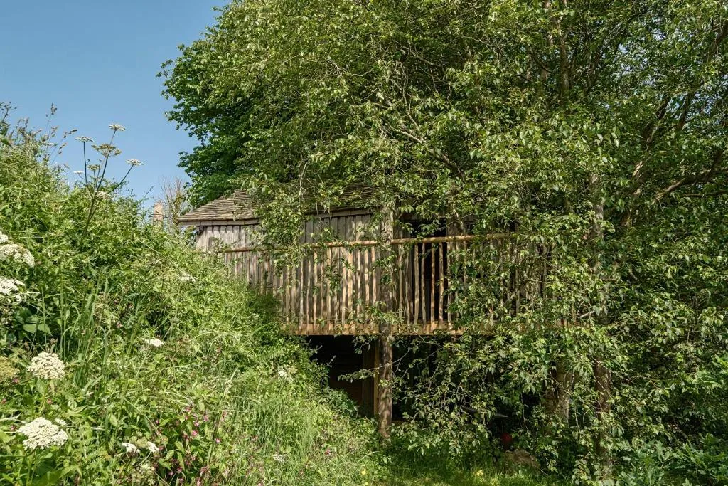 The Treehouse at Salcombe Farm