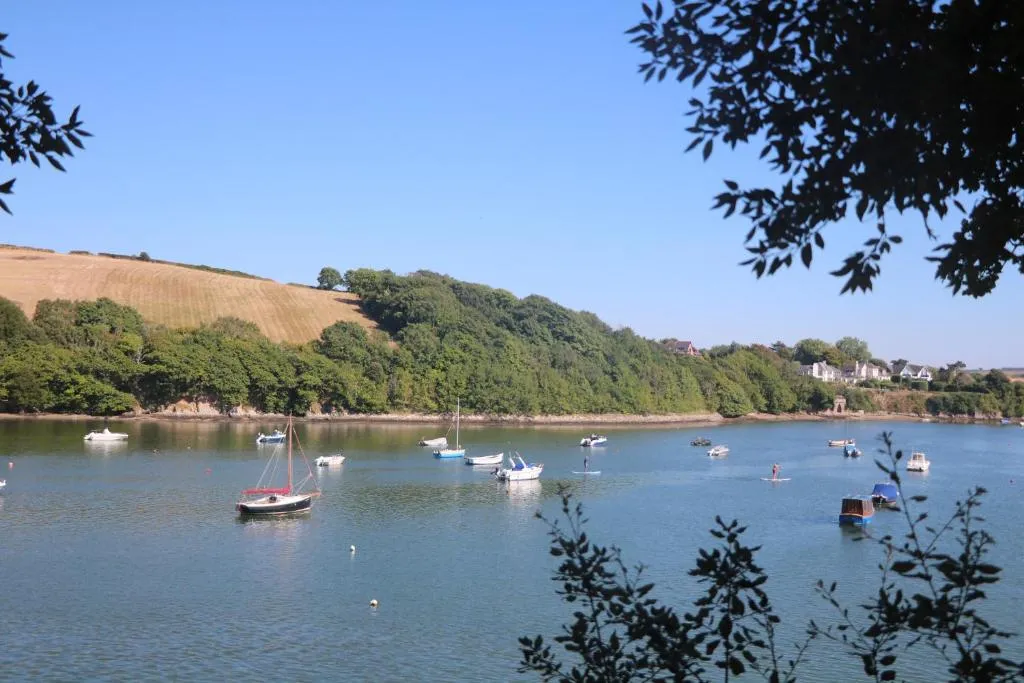 West Island - Photo 4