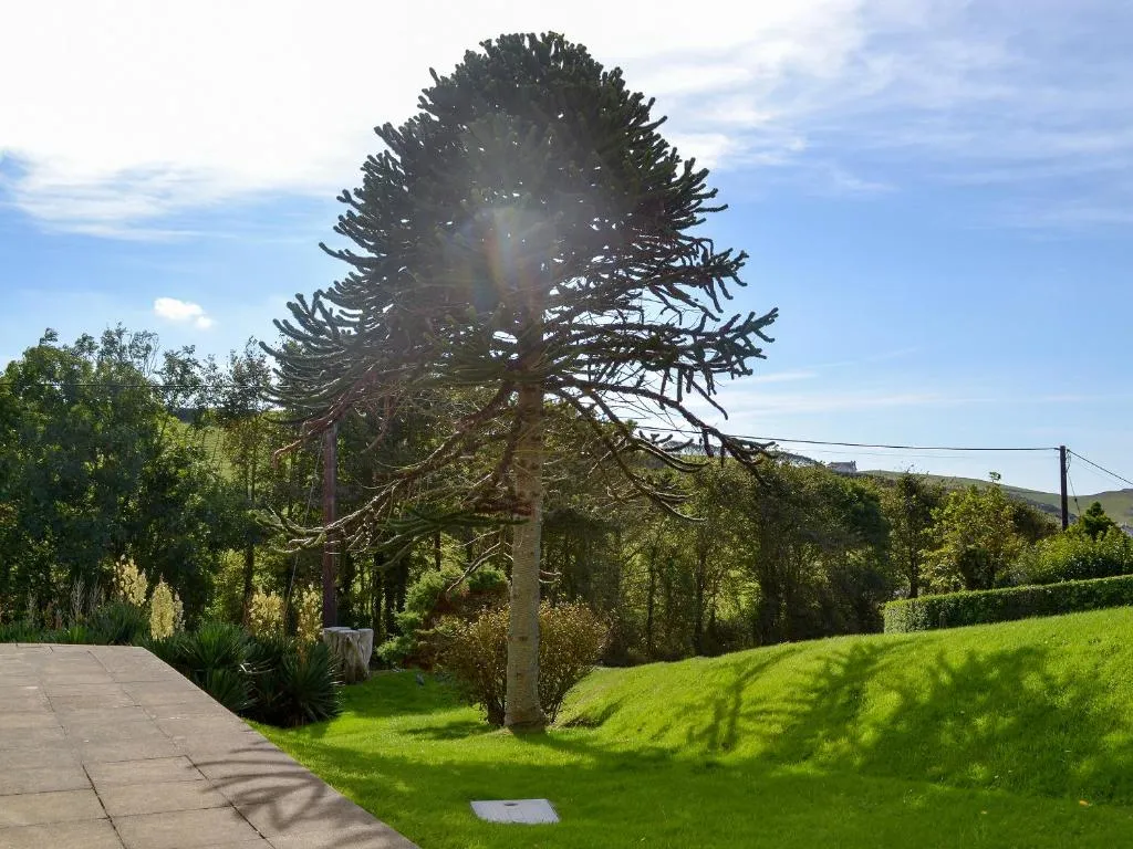 West Park - Photo 3
